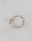 Gold ring with small barnacles on a light gray background