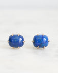 Pair of blue stone earrings on a white background