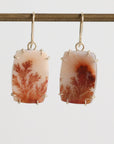 Pair of earrings with brown and beige stone on a white background