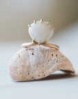 Frangipani Shell Vanity Ring-Hannah Blount Jewelry