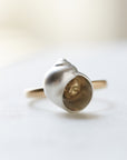 Moon snail hermit crab cameo ring - Hannah Blount