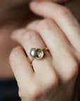 Moon snail hermit crab cameo ring - Hannah Blount