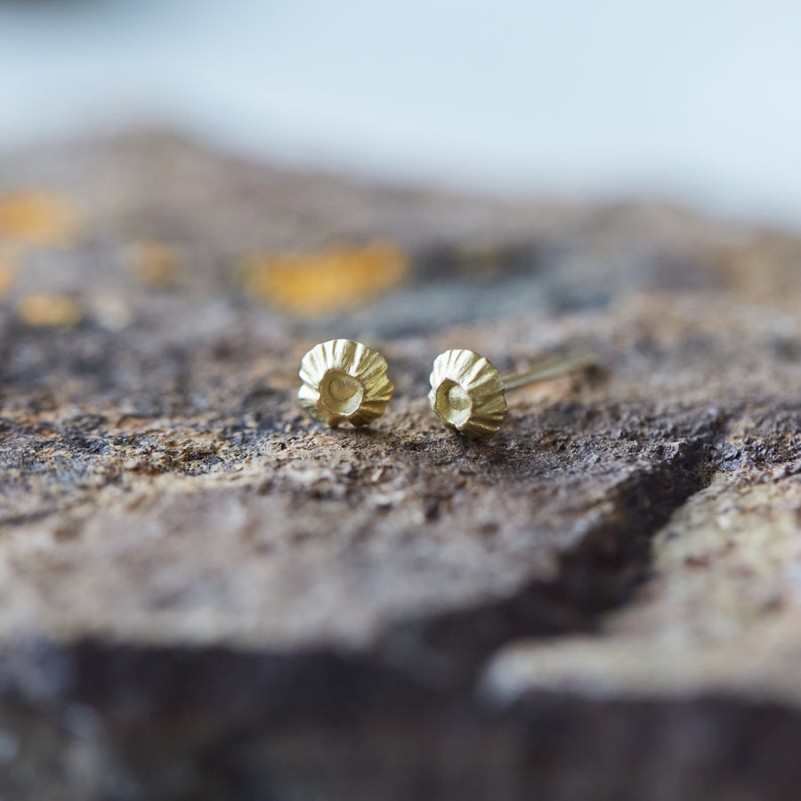18k gold barnacle studs by Hannah Blount
