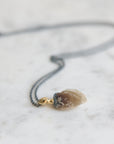 Necklace with a clambshell fossil pendant on a stone background