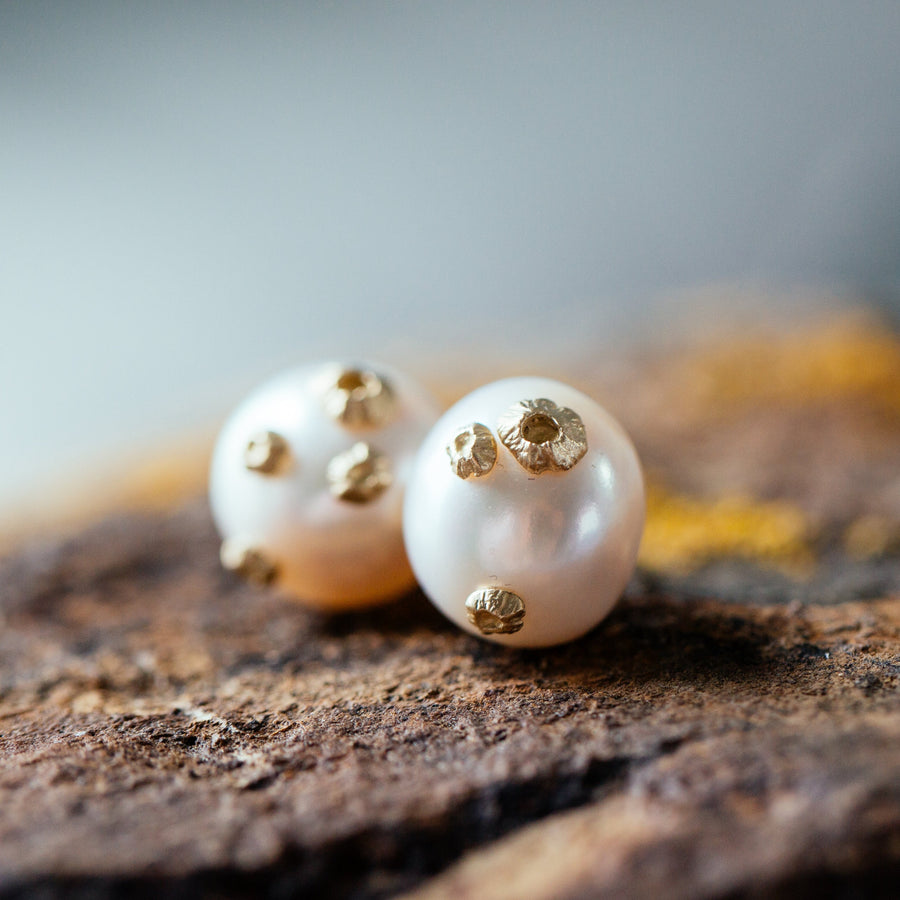 large white freshwater pearl studs with gold barnacles by hannah blount