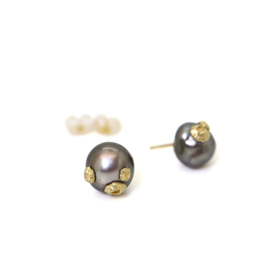 front and side view of tahitian black pearl studs with gold barnacles by hannah blount jewelry