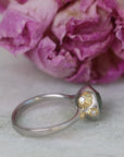 Silver ring with gold accents and Montana sapphire in front of pink flowers