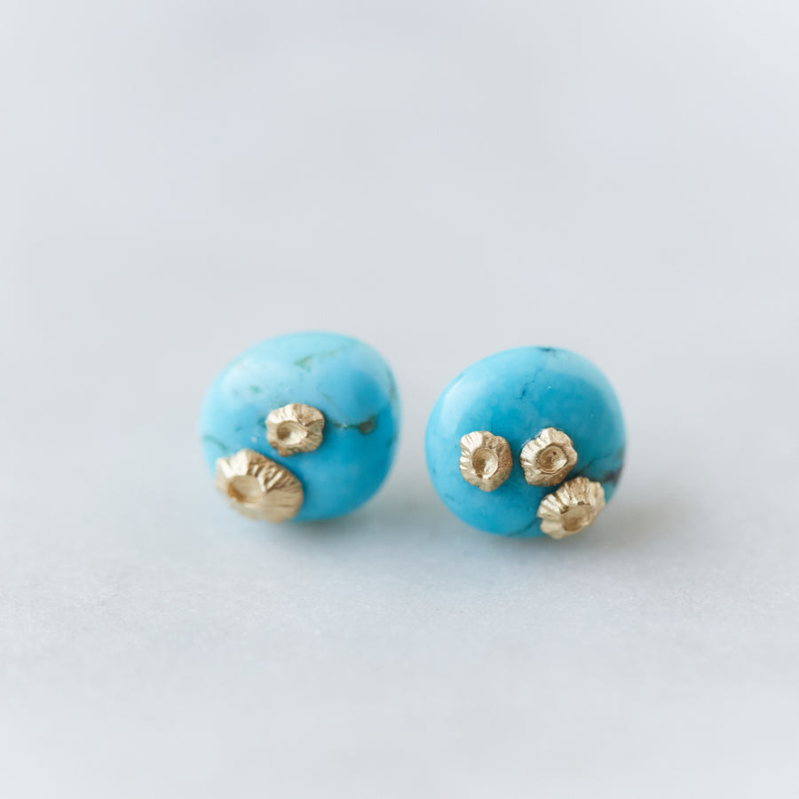 Kingman Turquoise Ruthie B. Studs with gold or silver barnacles - Hannah Blount Jewelry