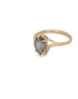 Dusk Blue Montana Sapphire Branch Waiting Ring-Hannah Blount Jewelry