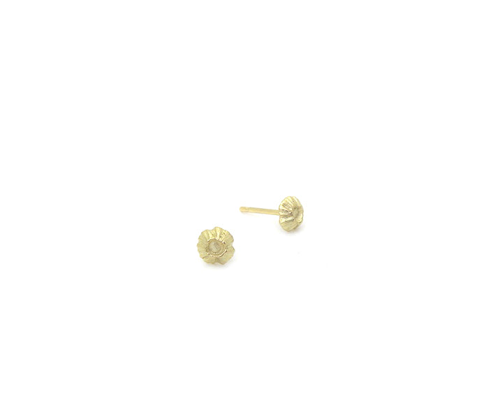 Barnacle Studs in 18k gold-Hannah Blount Jewelry