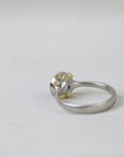 silver ring with gold barnacles on a white background 