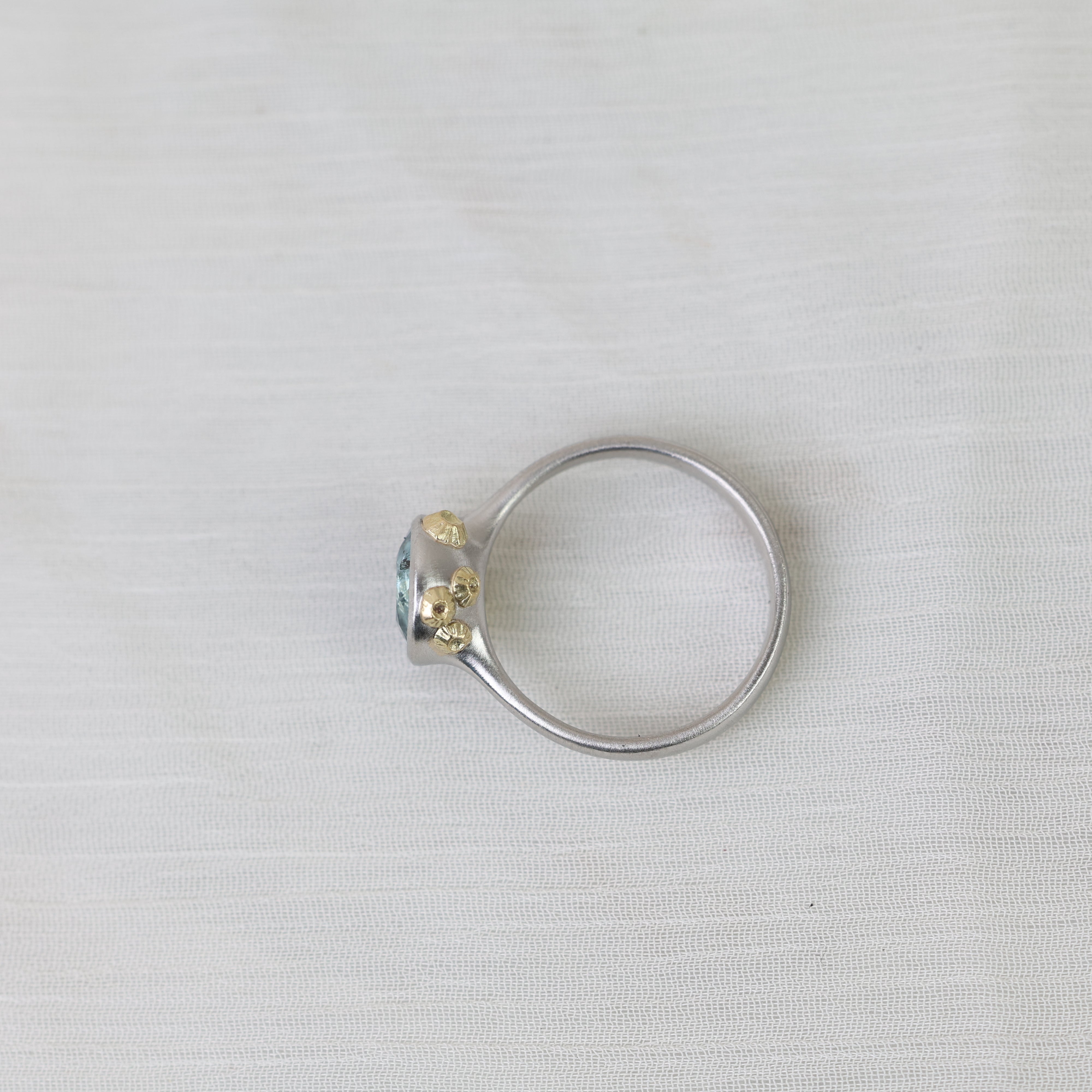 silver ring with gold barnacles on a white background
