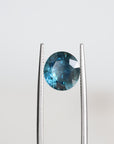 Blue included sapphire held in tweezers