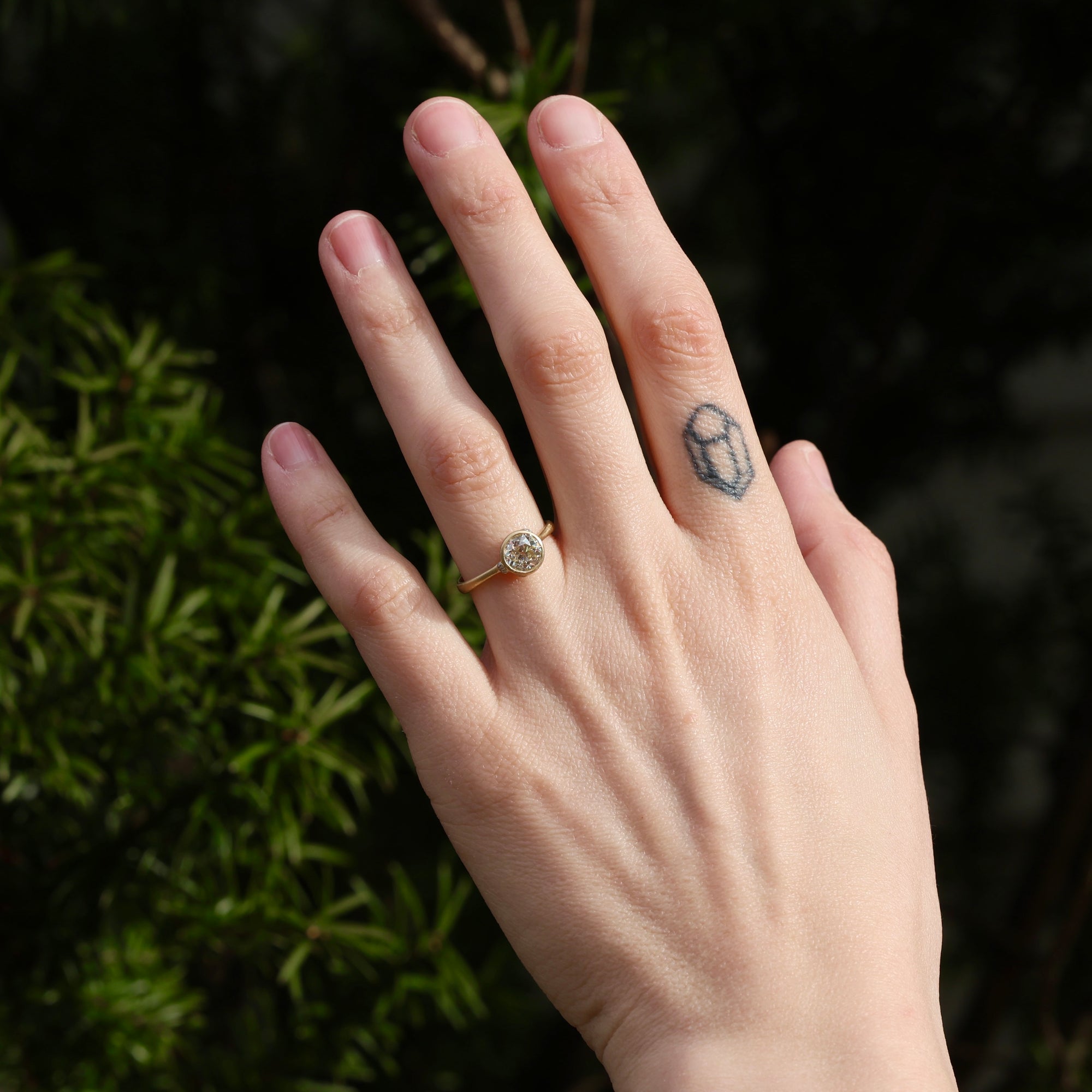 Hand with a ring and tattoo against a natural background