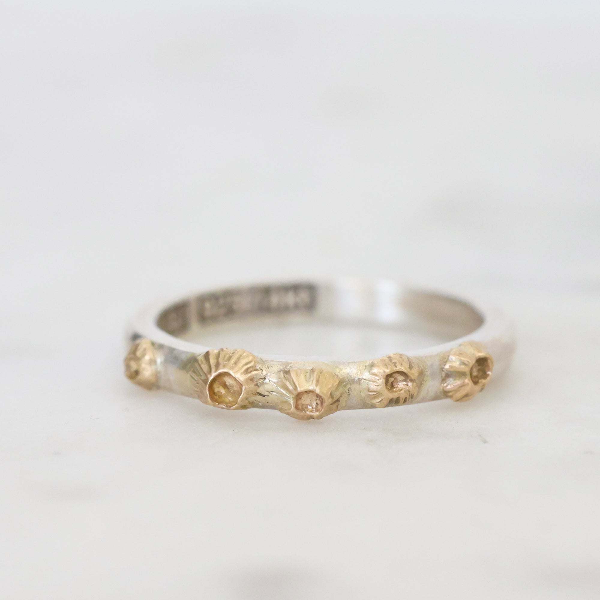 Silver ring with gold accents on a white background