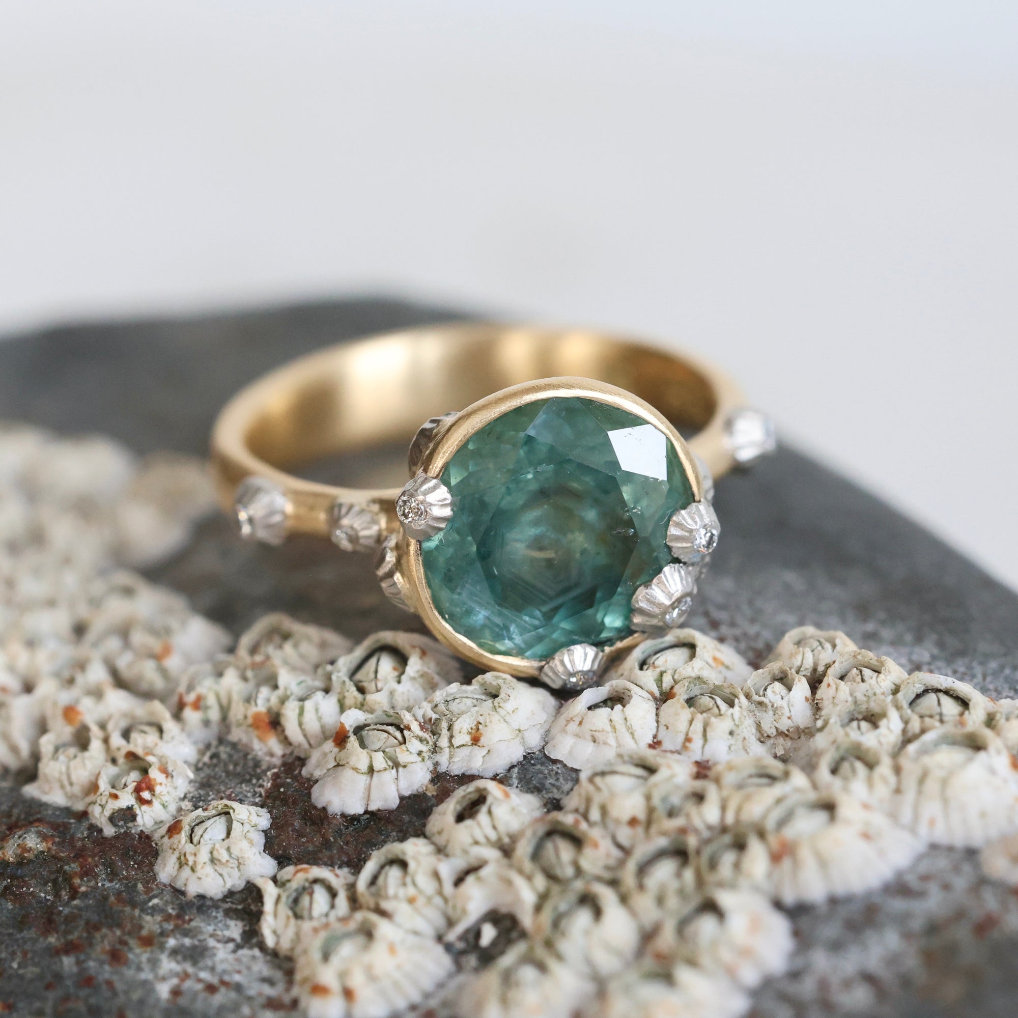 Large green sapphire ring with lots of barnacles on top of a barnacle full rock. Gold shank