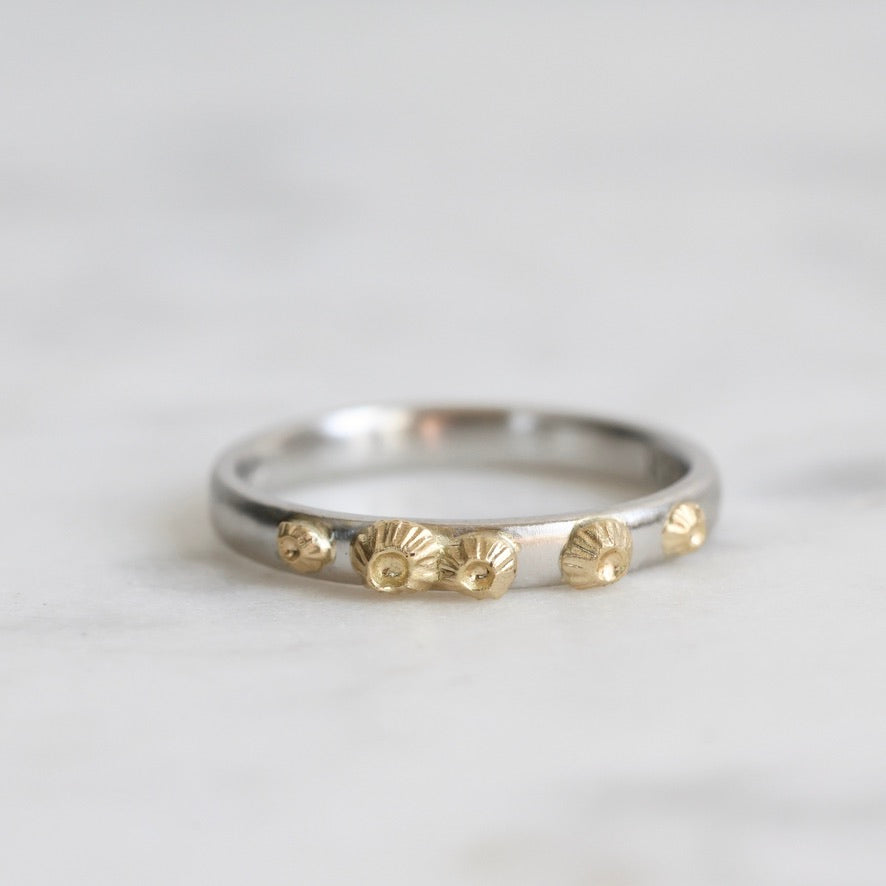 Platinum Barnacle Band with gold barnacles 