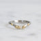 curved platinum barnacle bad with gold barnacles