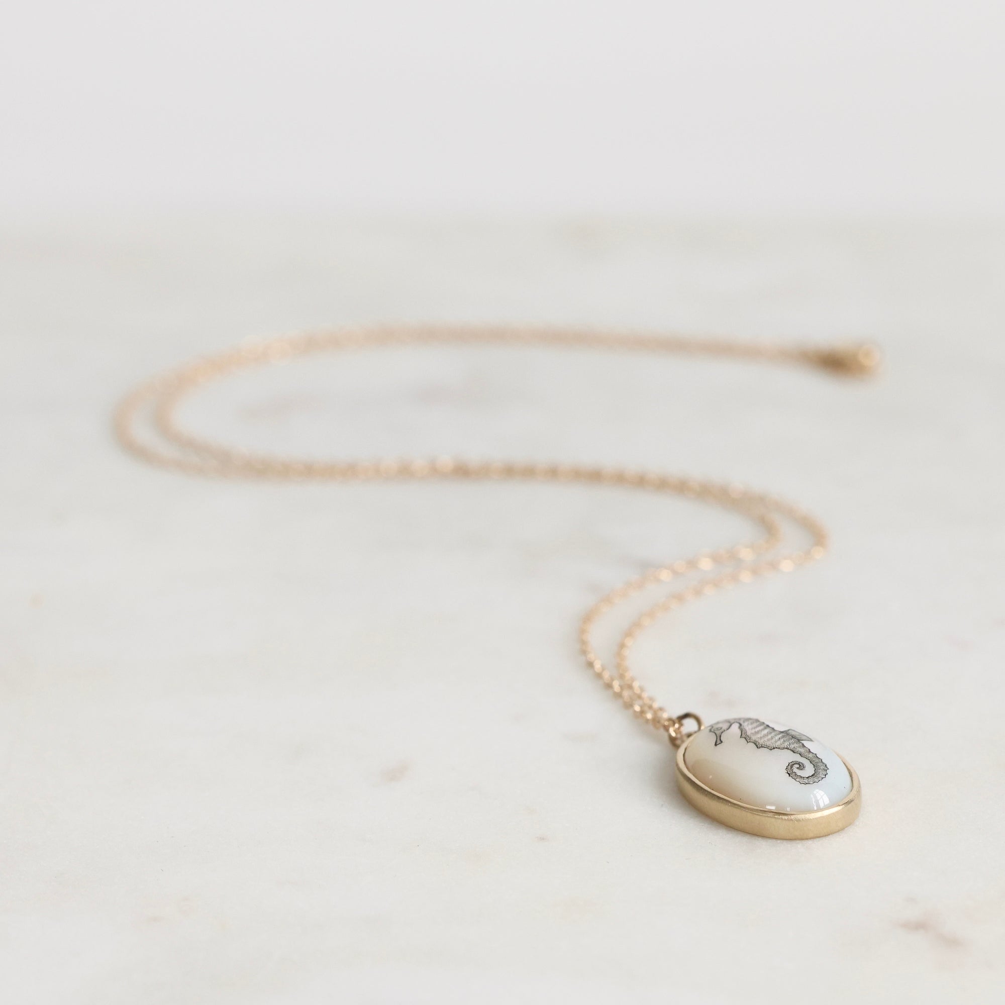 Necklace with a seahorse pendant on a light background