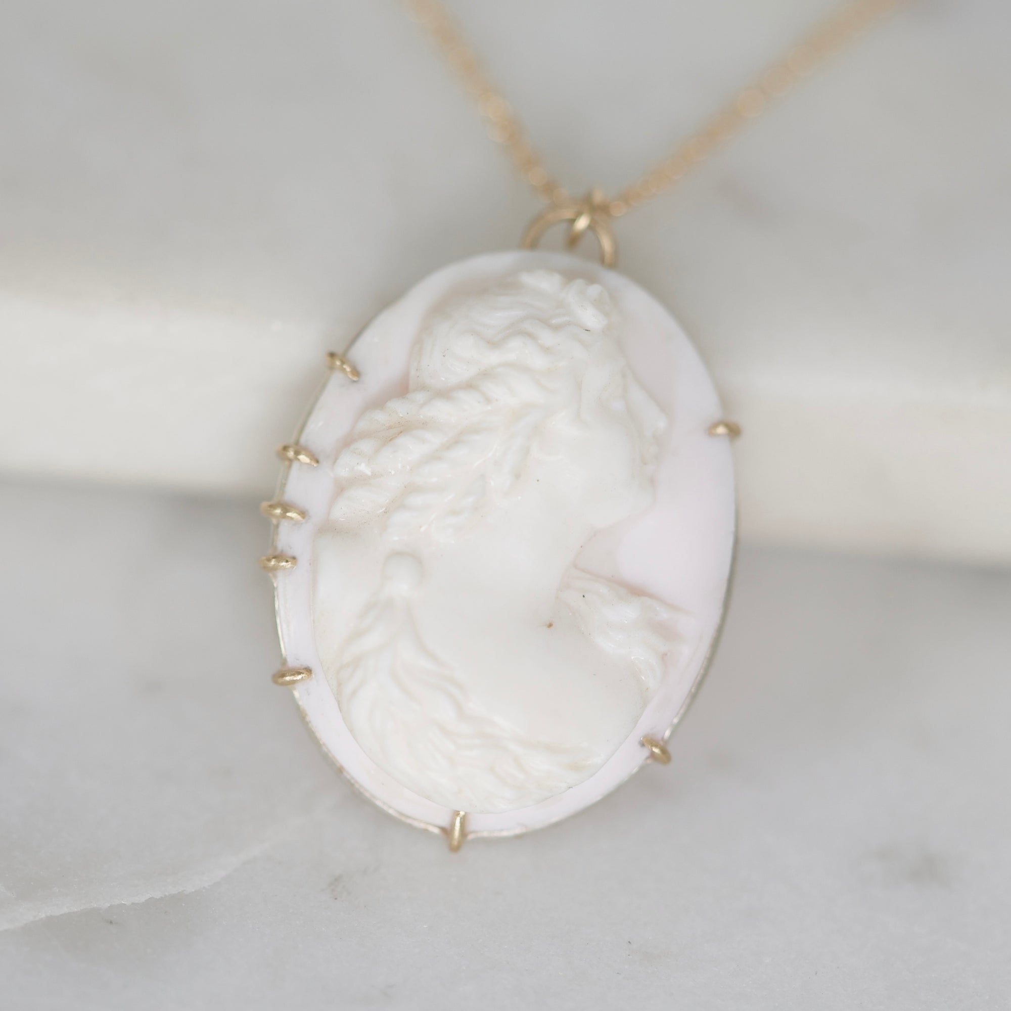 A classic oval cameo pendant necklace featuring a white carved profile of a classical woman on a pale pink shell background, set in gold with small gold prongs and a gold chain.