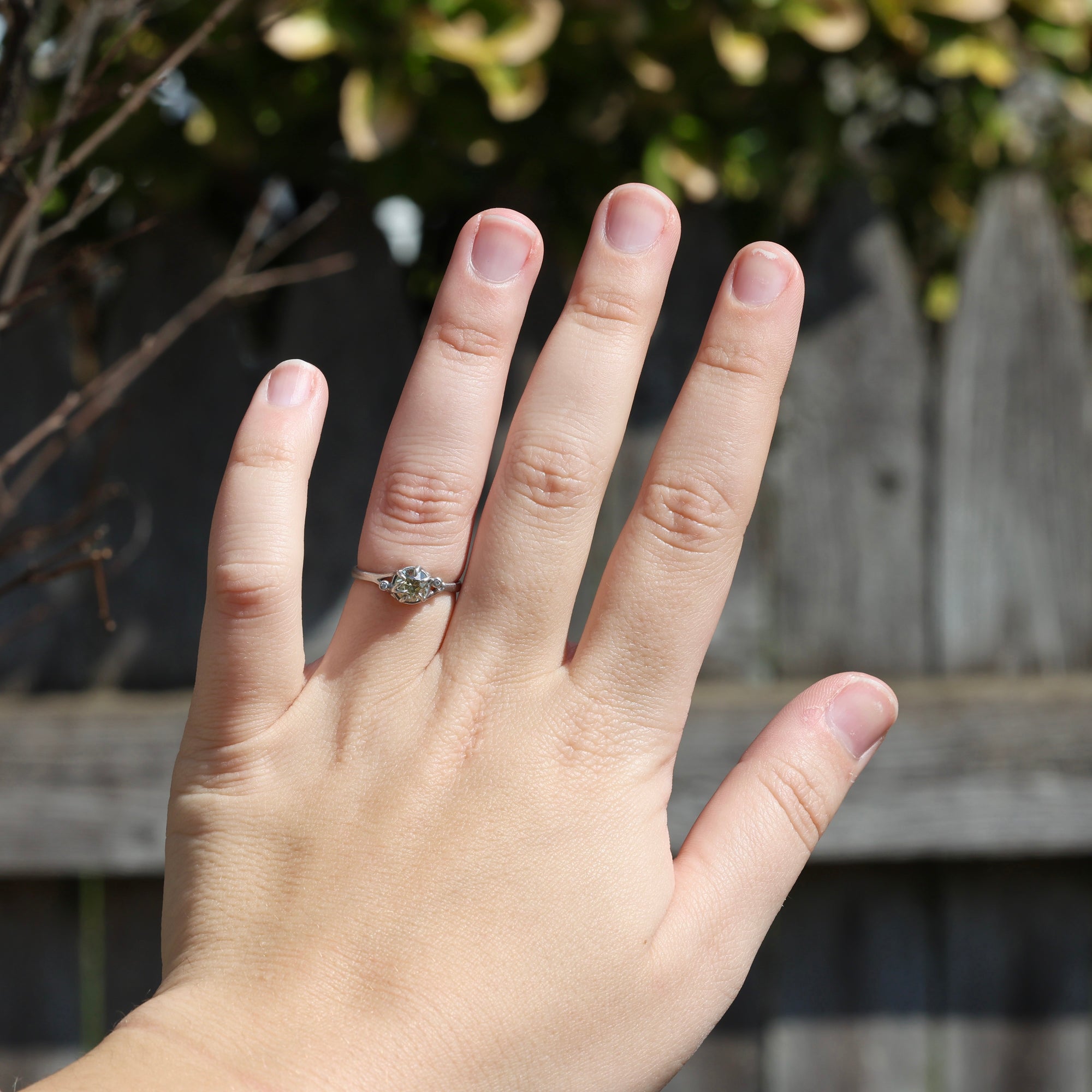 Hand wearing a ring with a blurred natural background