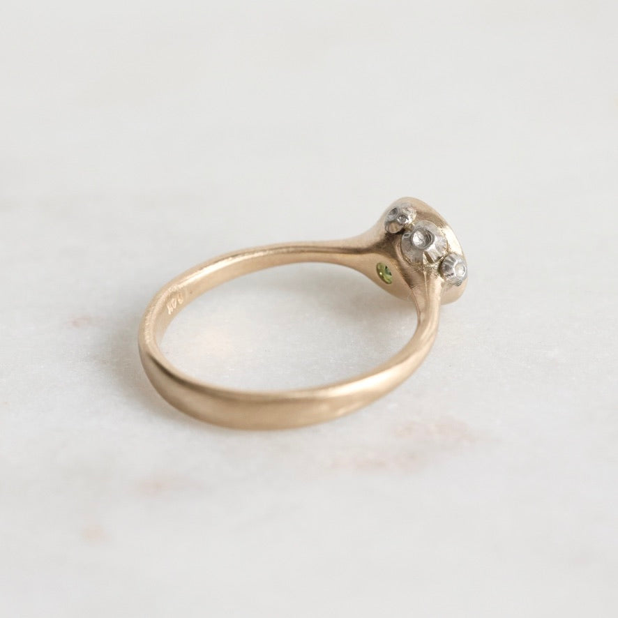Gold ring with small barnacles on a light background