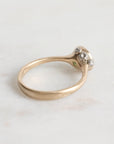 Gold ring with small barnacles on a light background