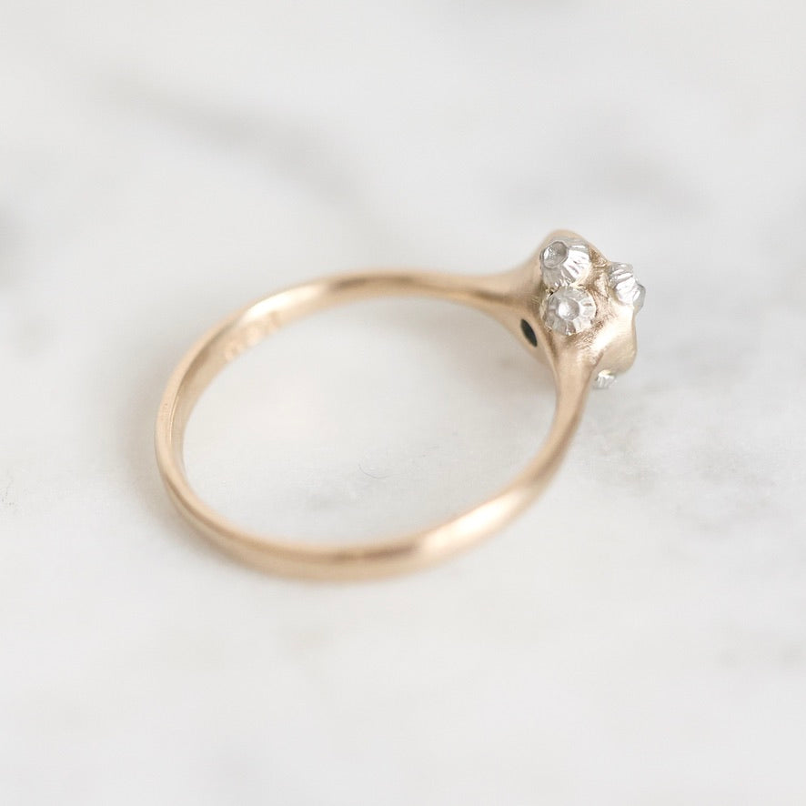 Ring from behind with platinum barnacles. 