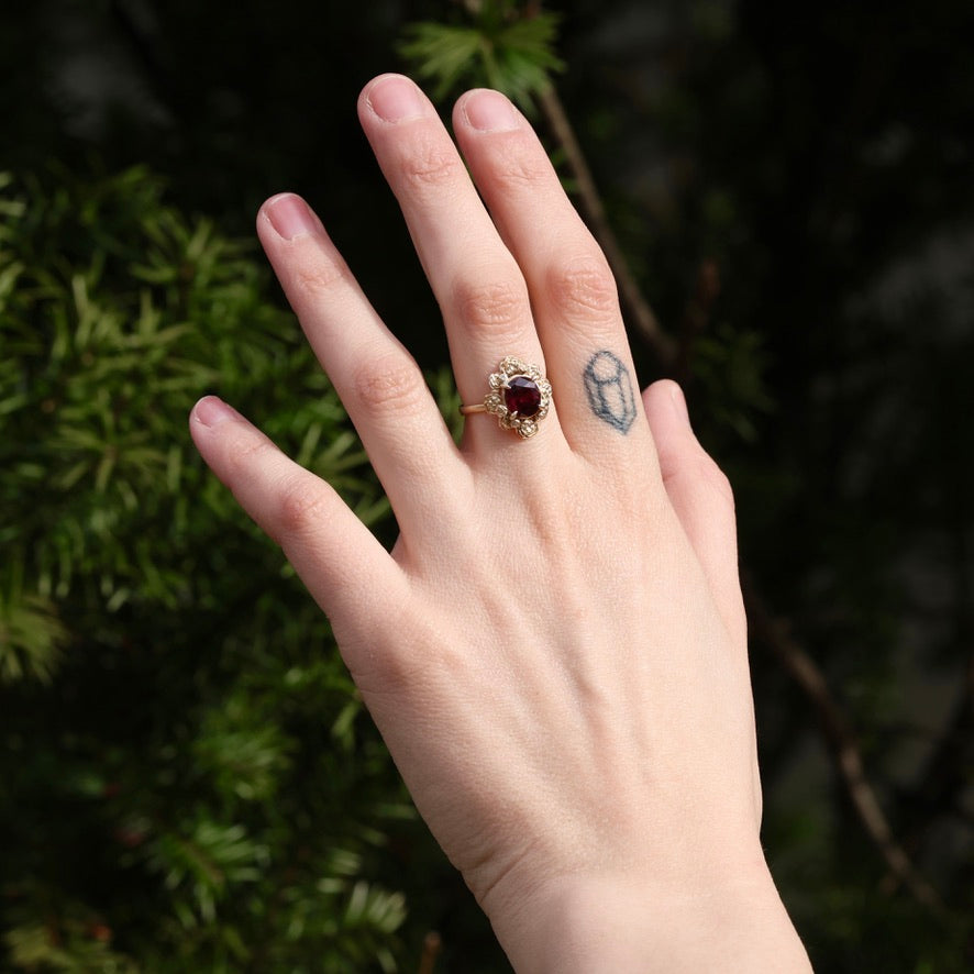 Hand wearing a ring with a red gemstone against a green leafy background