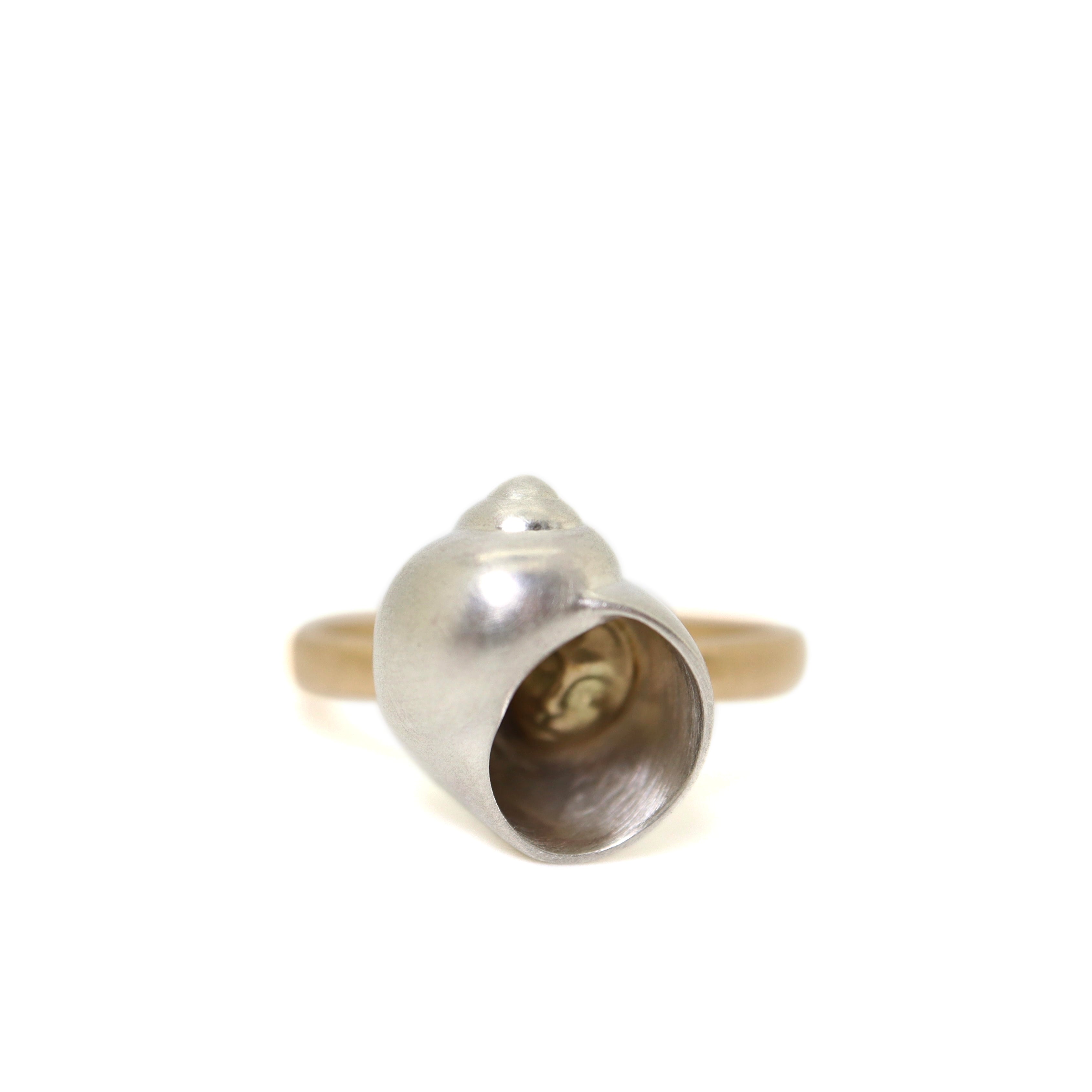 Moon snail hermit crab cameo ring - Hannah Blount