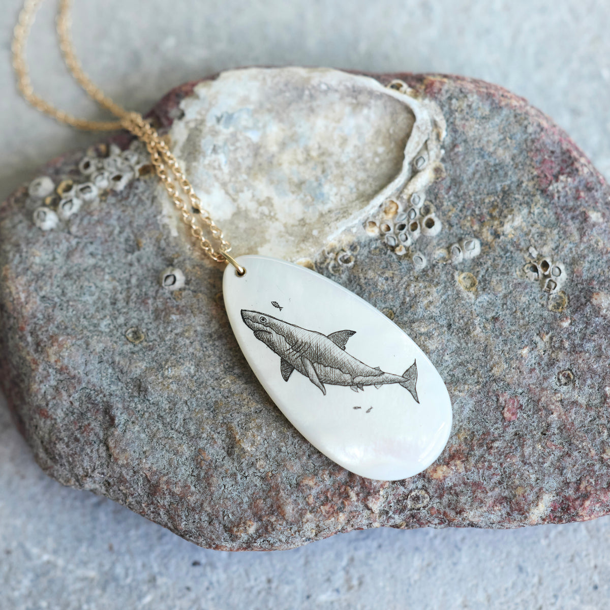 A gold chain necklace with an oval white pendant featuring a detailed black engraving of a shark, displayed on a textured gray rock.