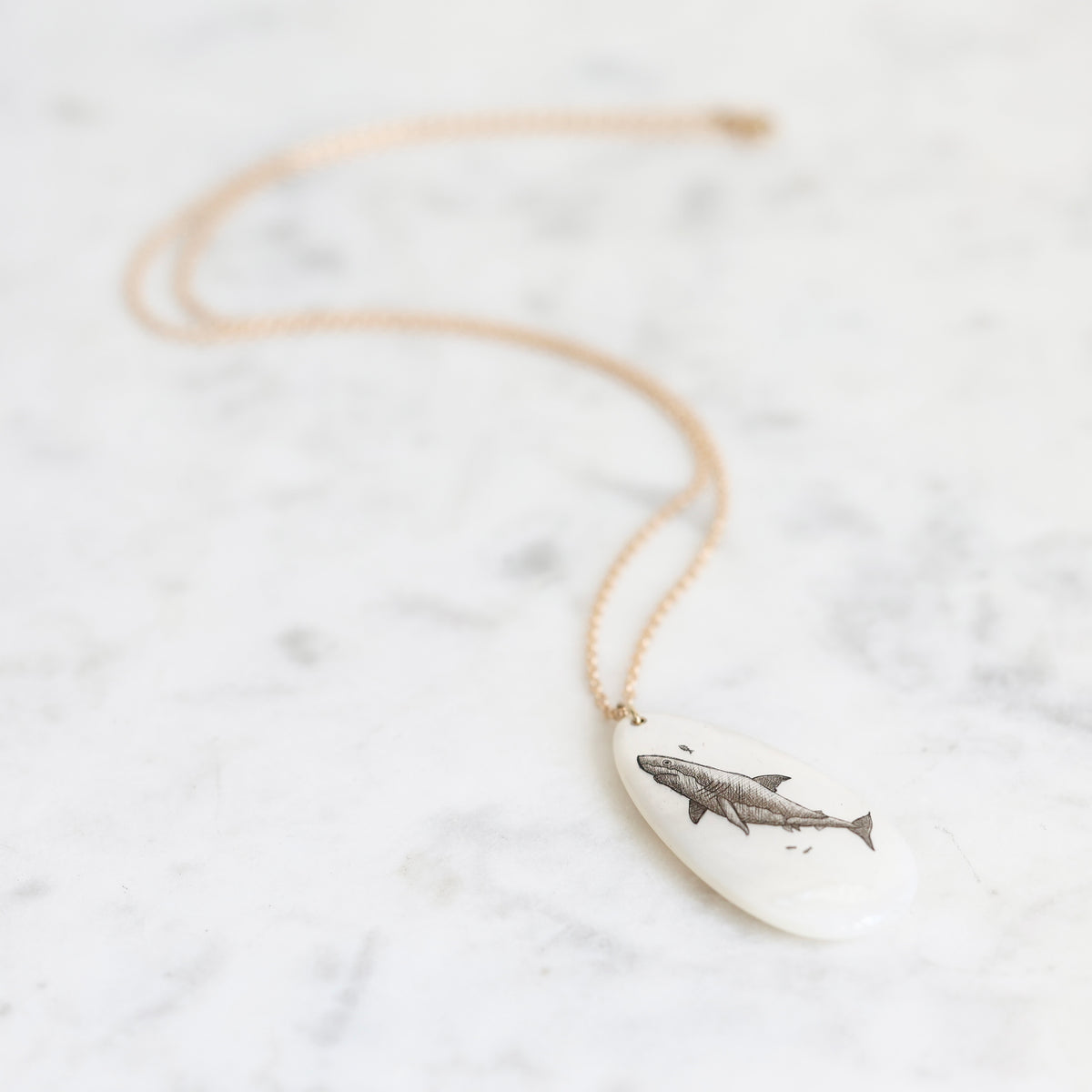 Necklace featuring a shark on a mother of pearl pendant suspended from a gold chain