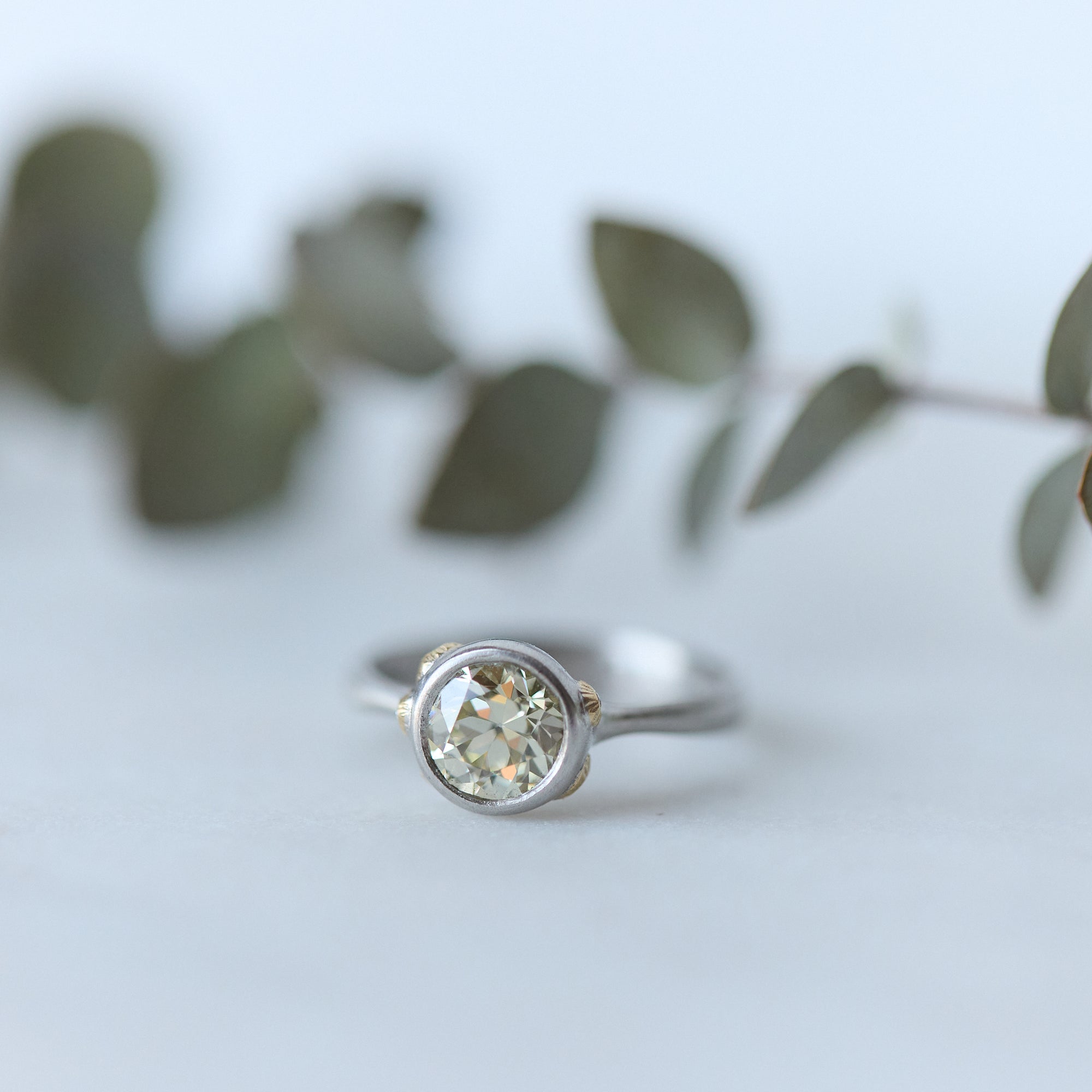 Silver ring with a diamond on a light background with green leaves