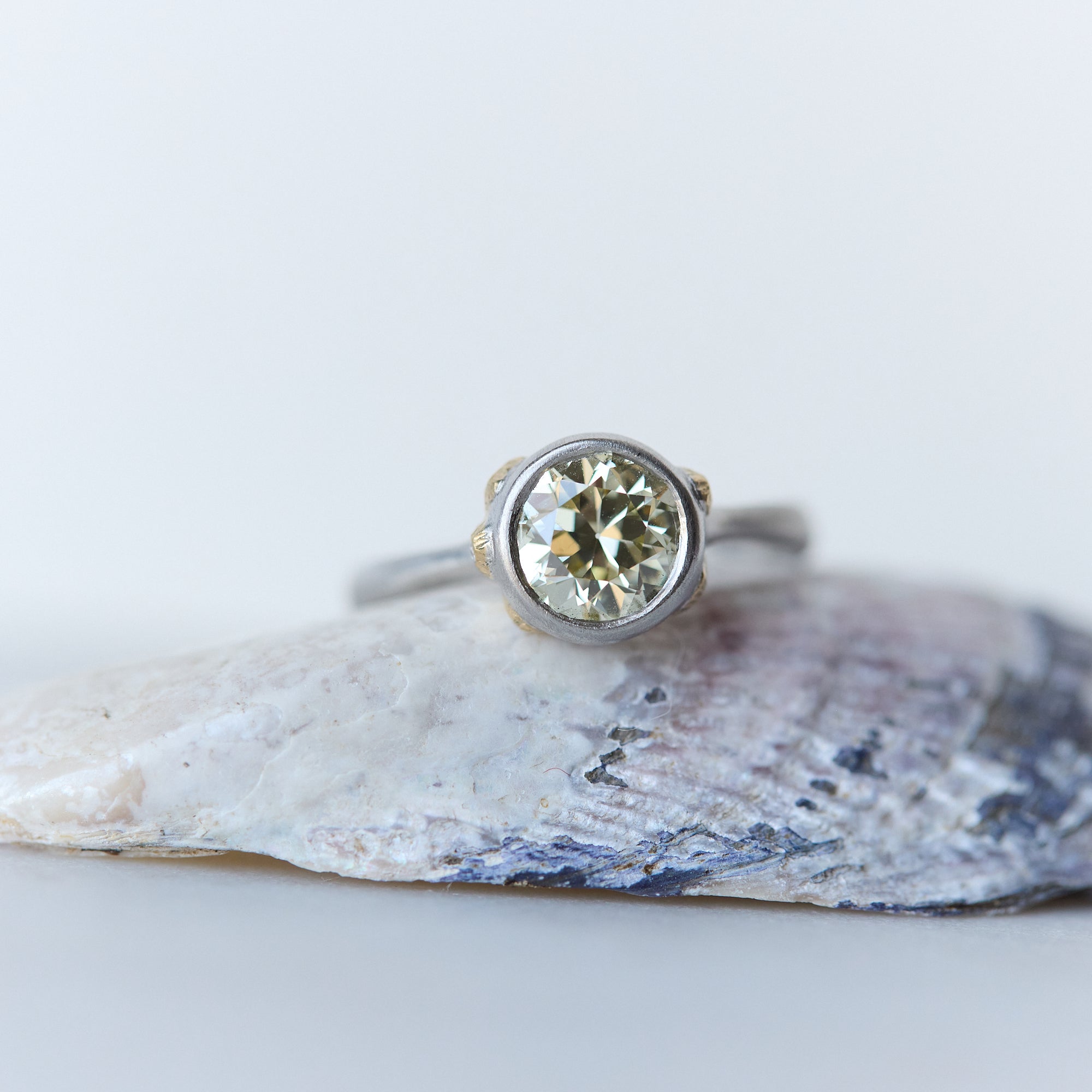 Diamond ring on a shell with a light background