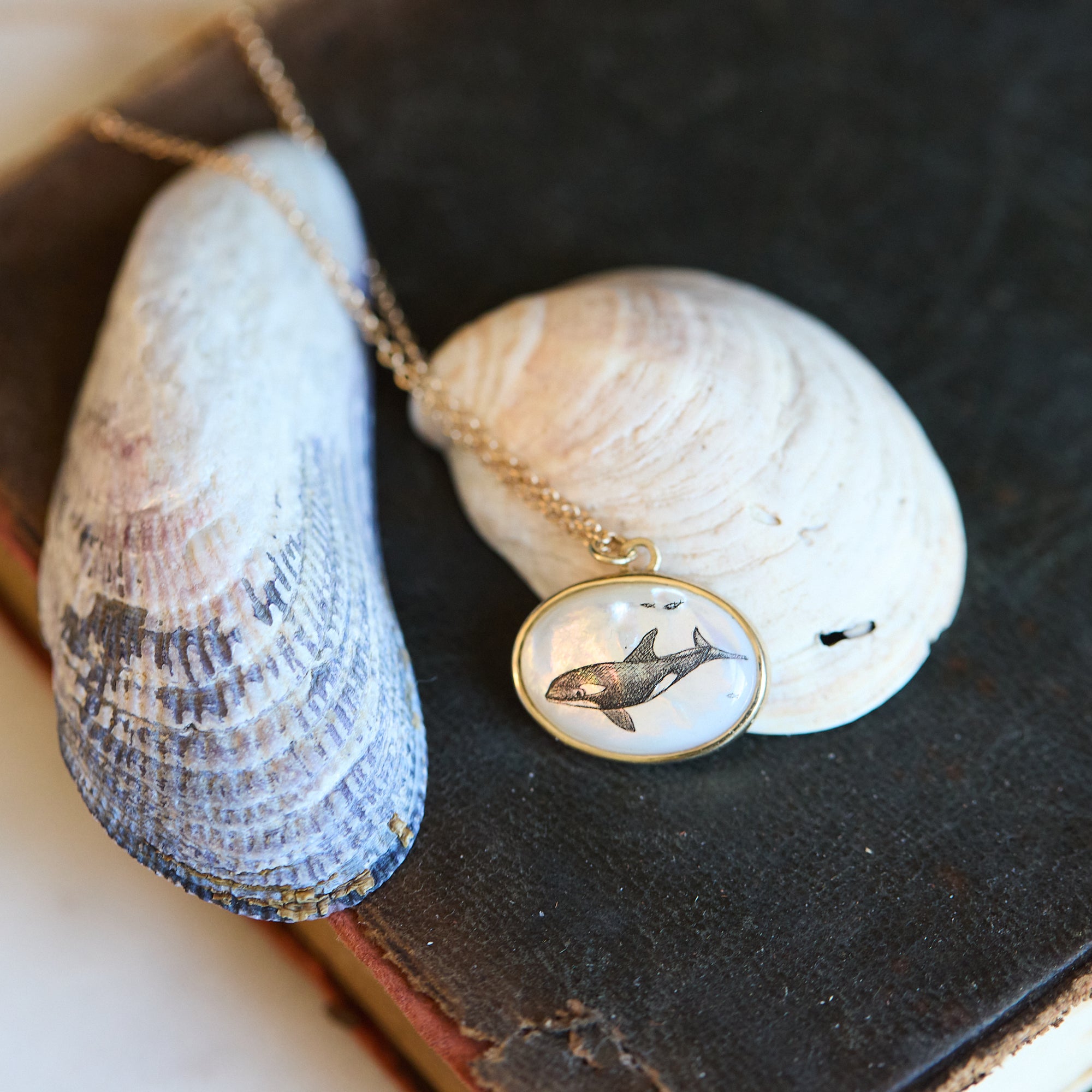 Necklace with a whale pendant on a dark surface with shells
