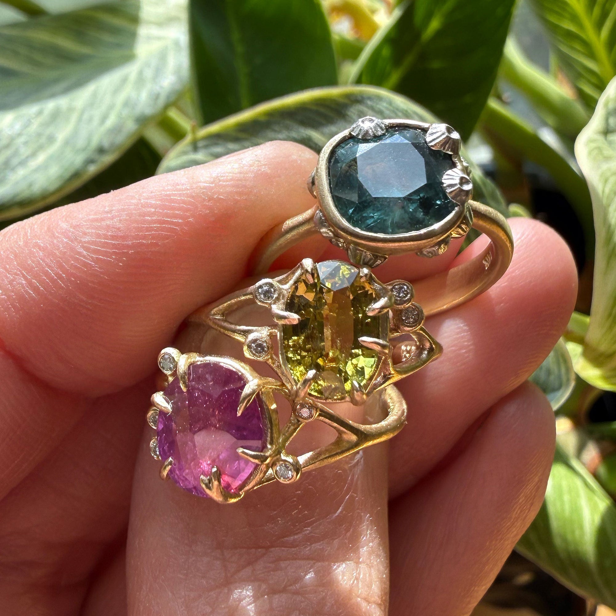 Gold rings with gemstones held against a leafy green background