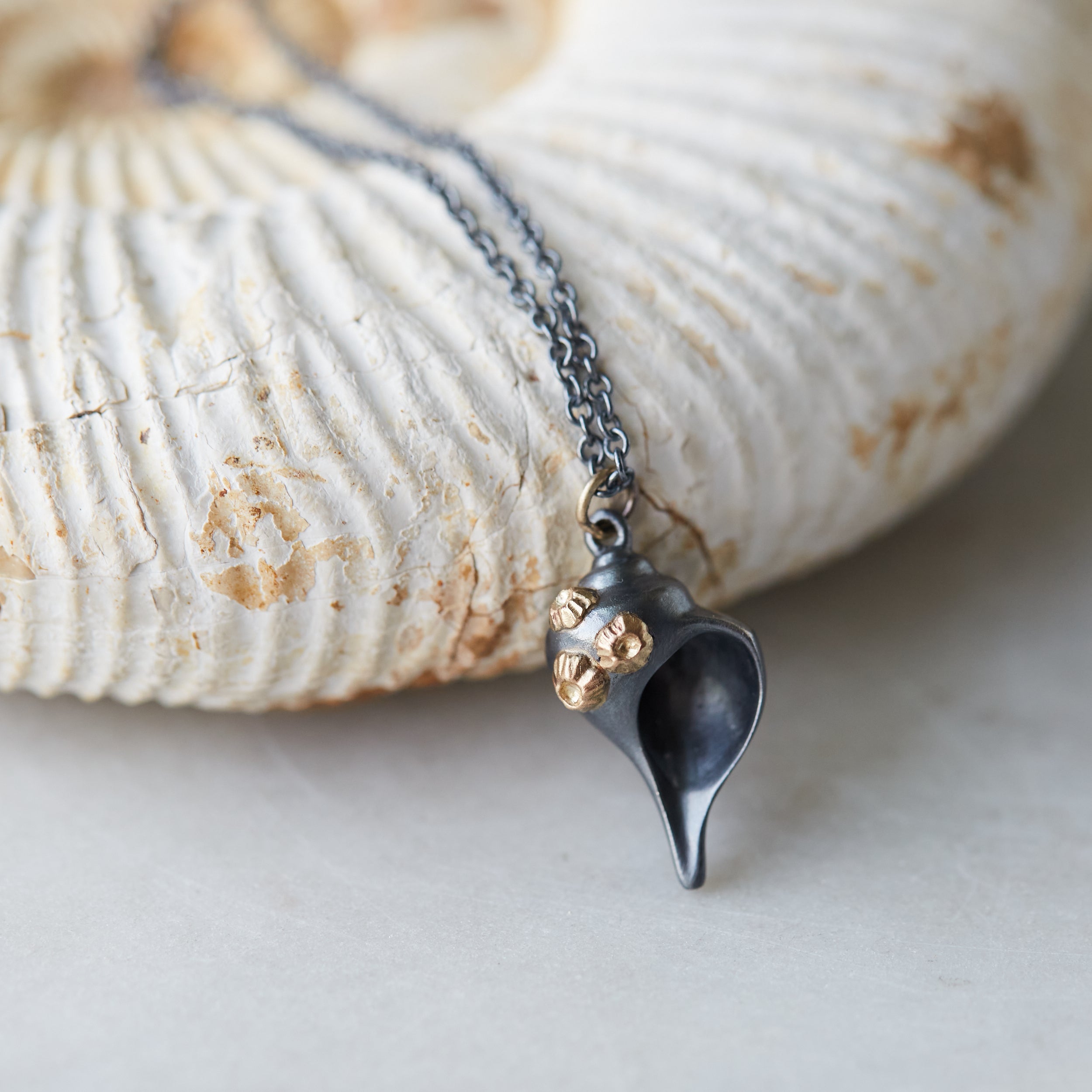 black whelk shell pendant with gold barnacles on chain
