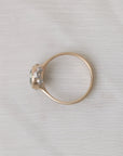 Gold ring with silver barnacles on white background