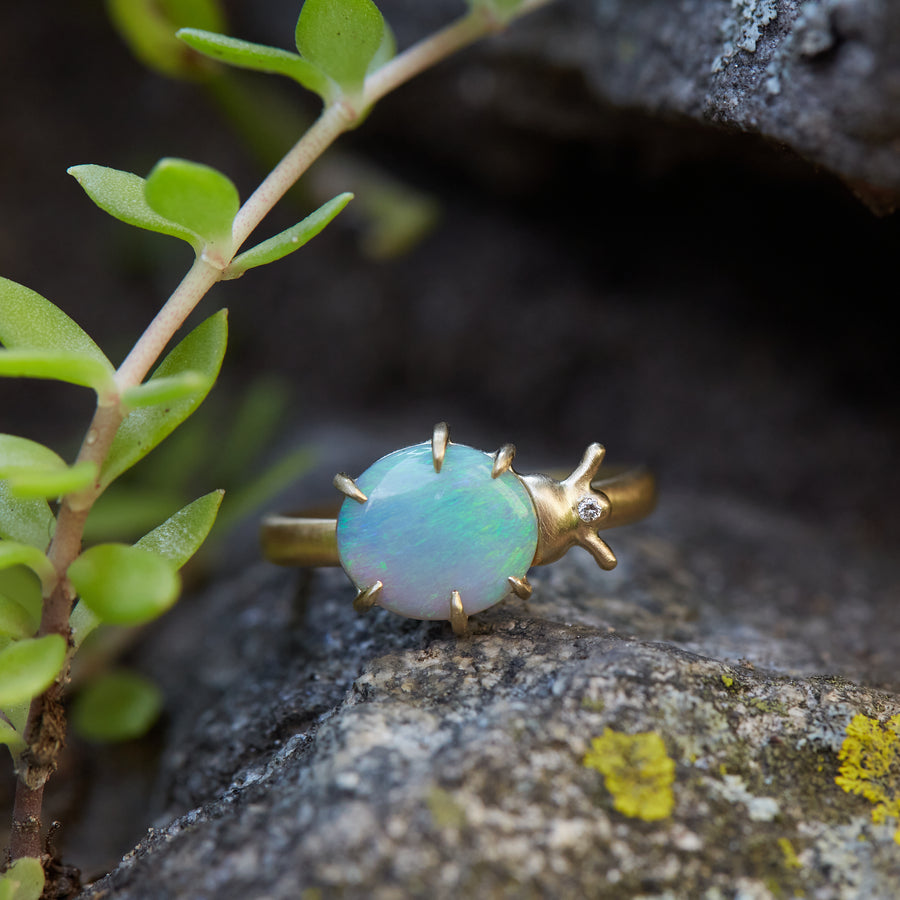 Lightning Ridge Opal Milkweed Beetle Vanity Ring with Diamond seated on rock by Hannah Blount Jewelry