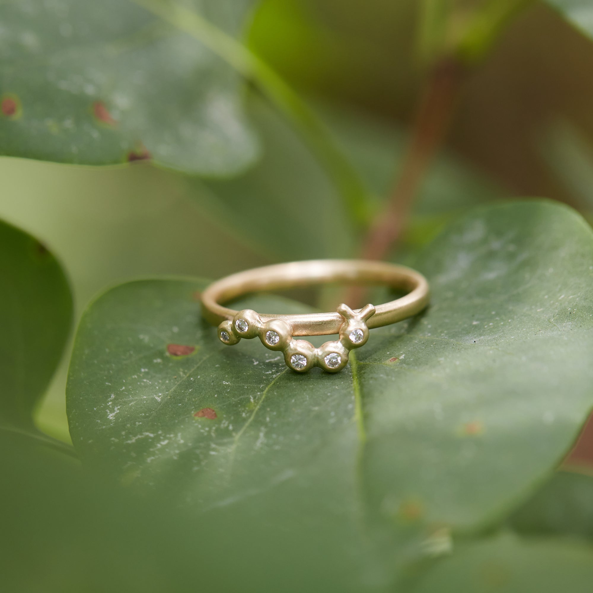 Caterpillar and diamond 14k gold ring on leaf by hannah blount jewelry
