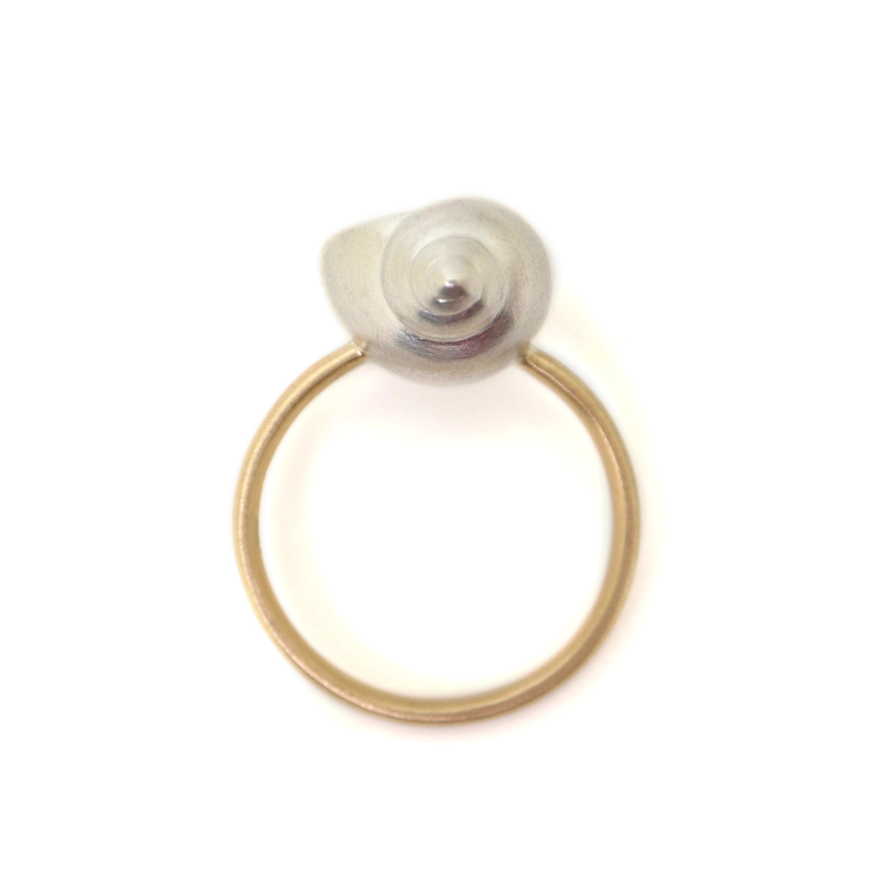 Moon snail hermit crab cameo ring - Hannah Blount