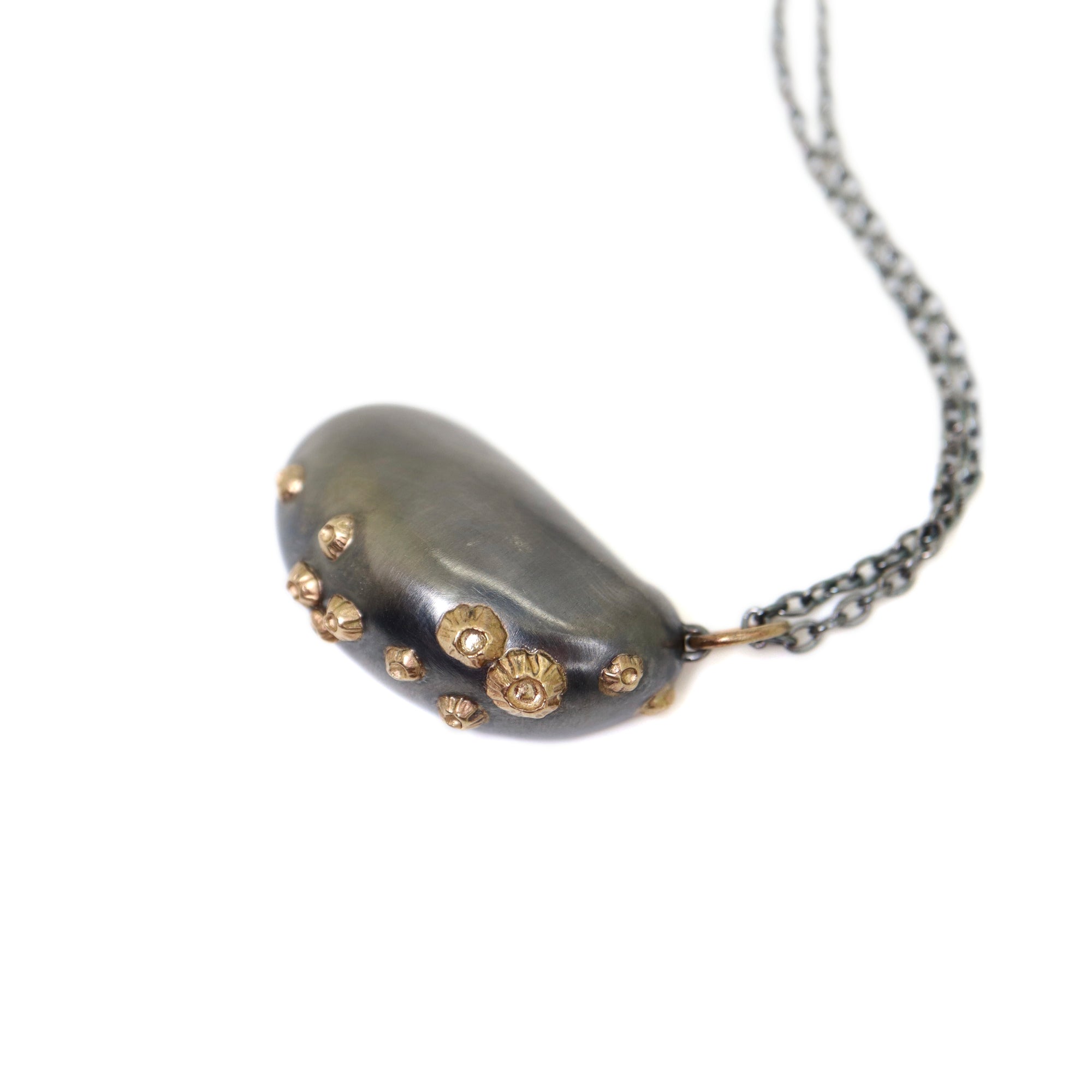 Shell necklace with barnacles - Hannah Blount