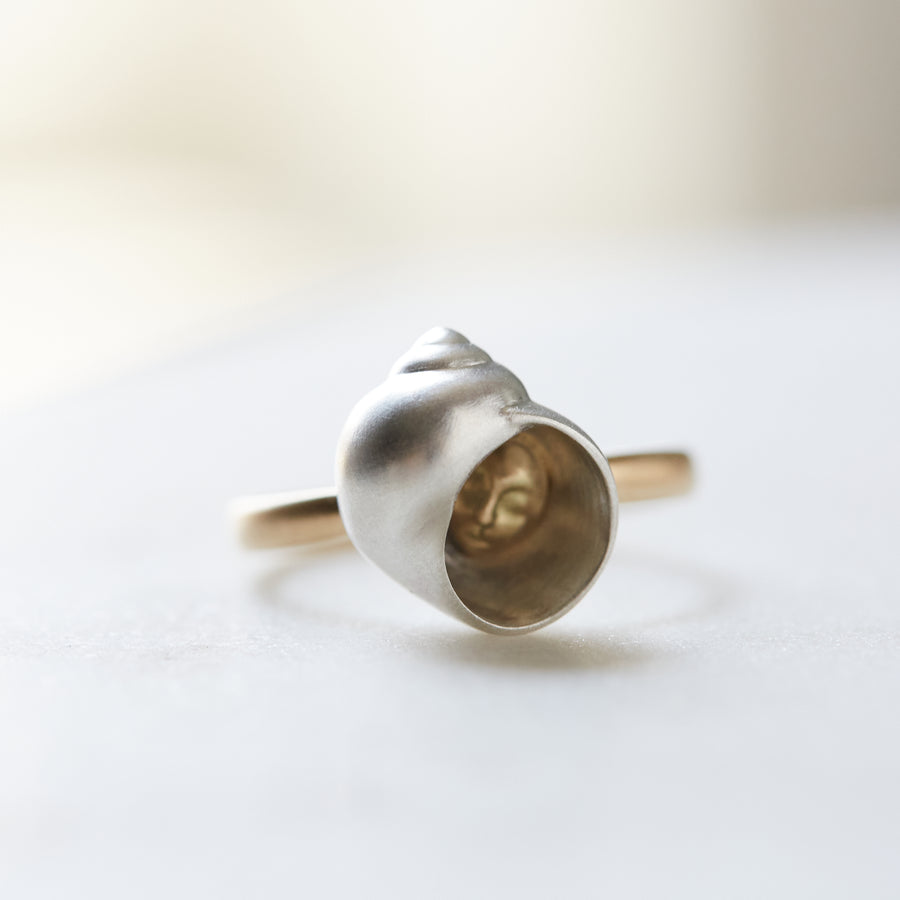 Moon snail hermit crab cameo ring - Hannah Blount
