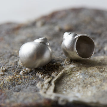 Moon Snail Shell Stud Earrings - Hannah Blount
