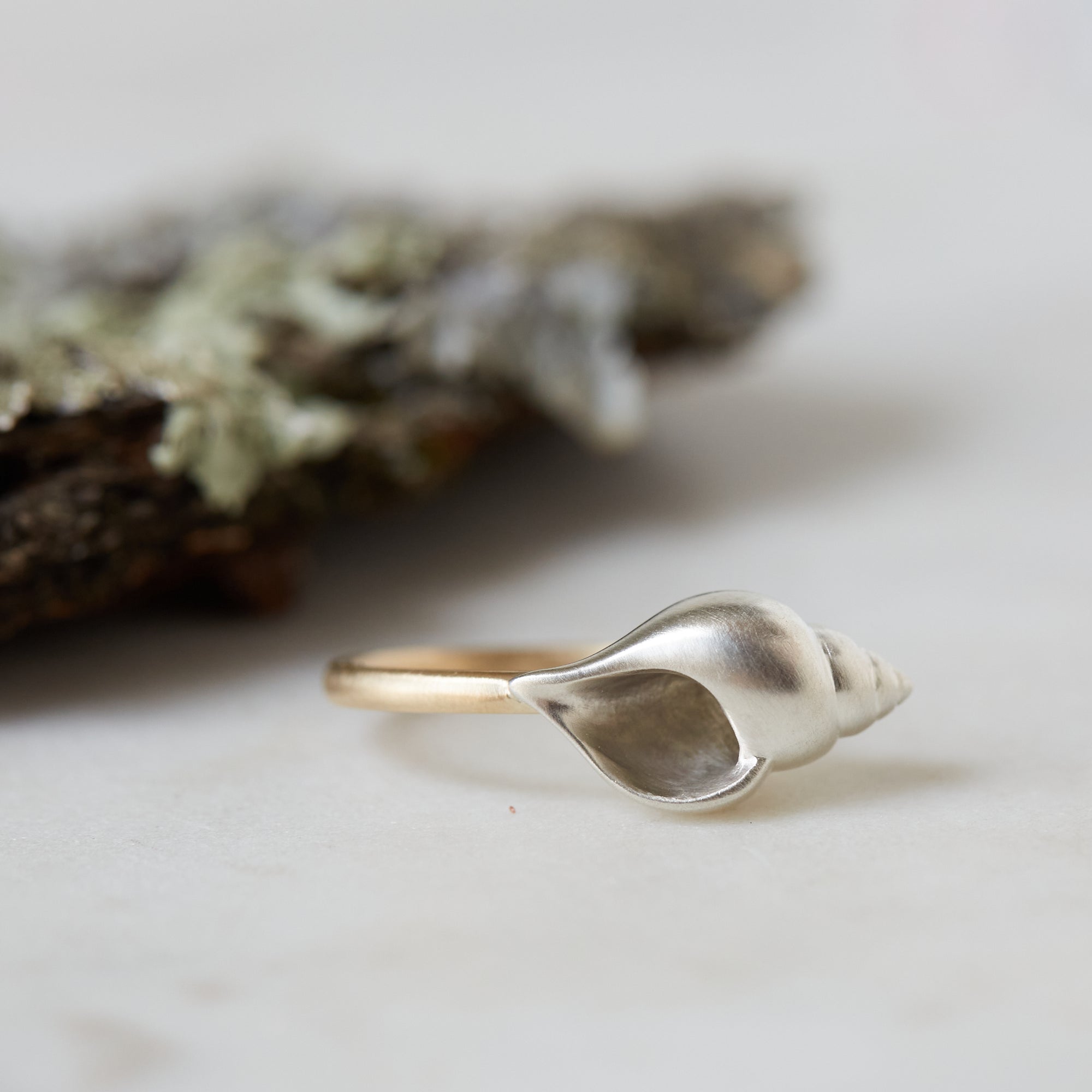 Shell ring - Hannah Blount