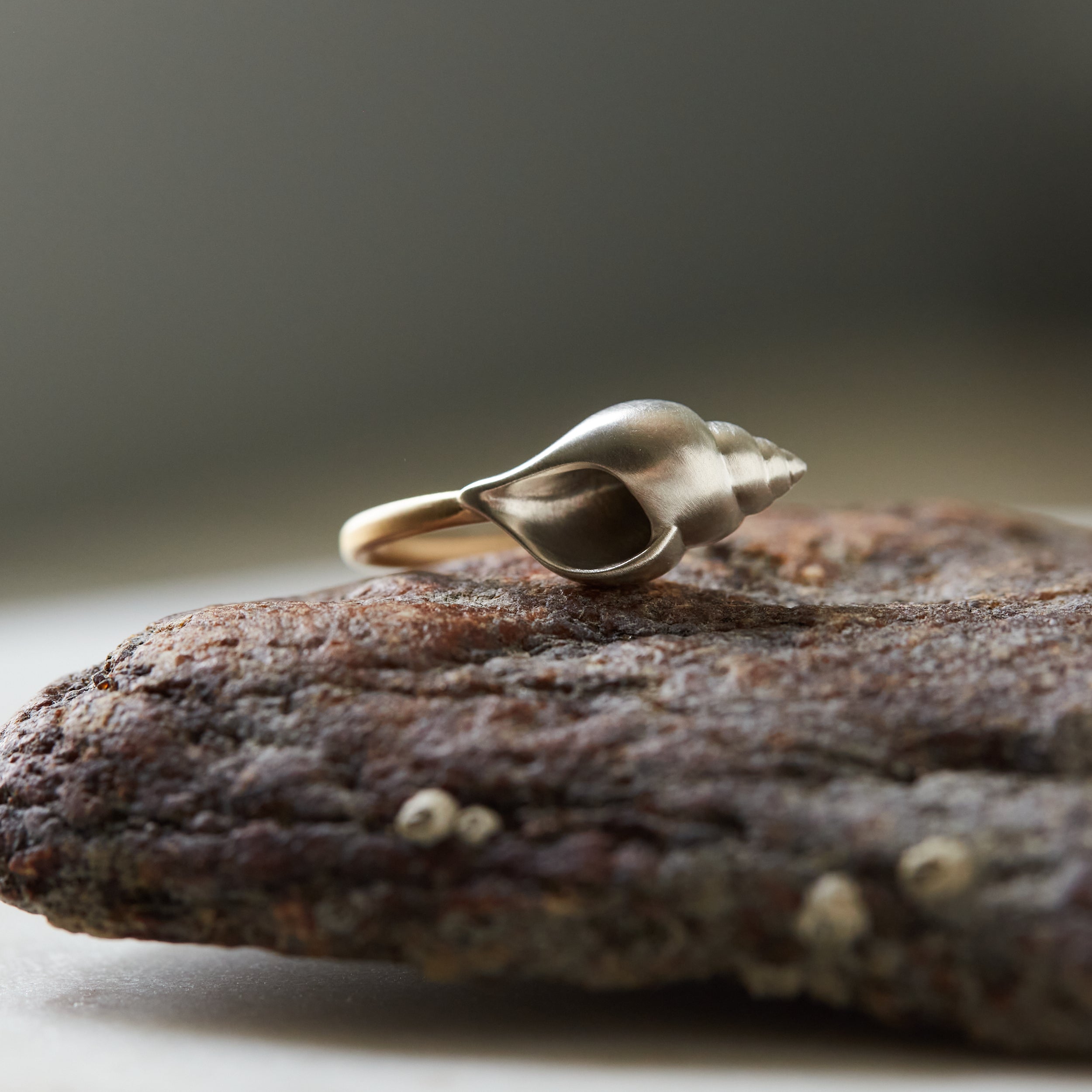 Silver and gold shell ring - Hannah Blount