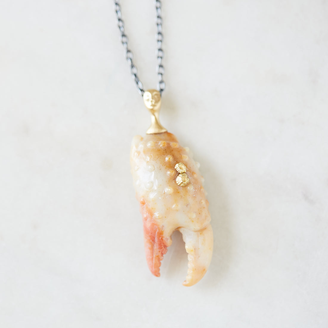 Karkinos Carved Chalcedony Cameo Necklace with Barnacles