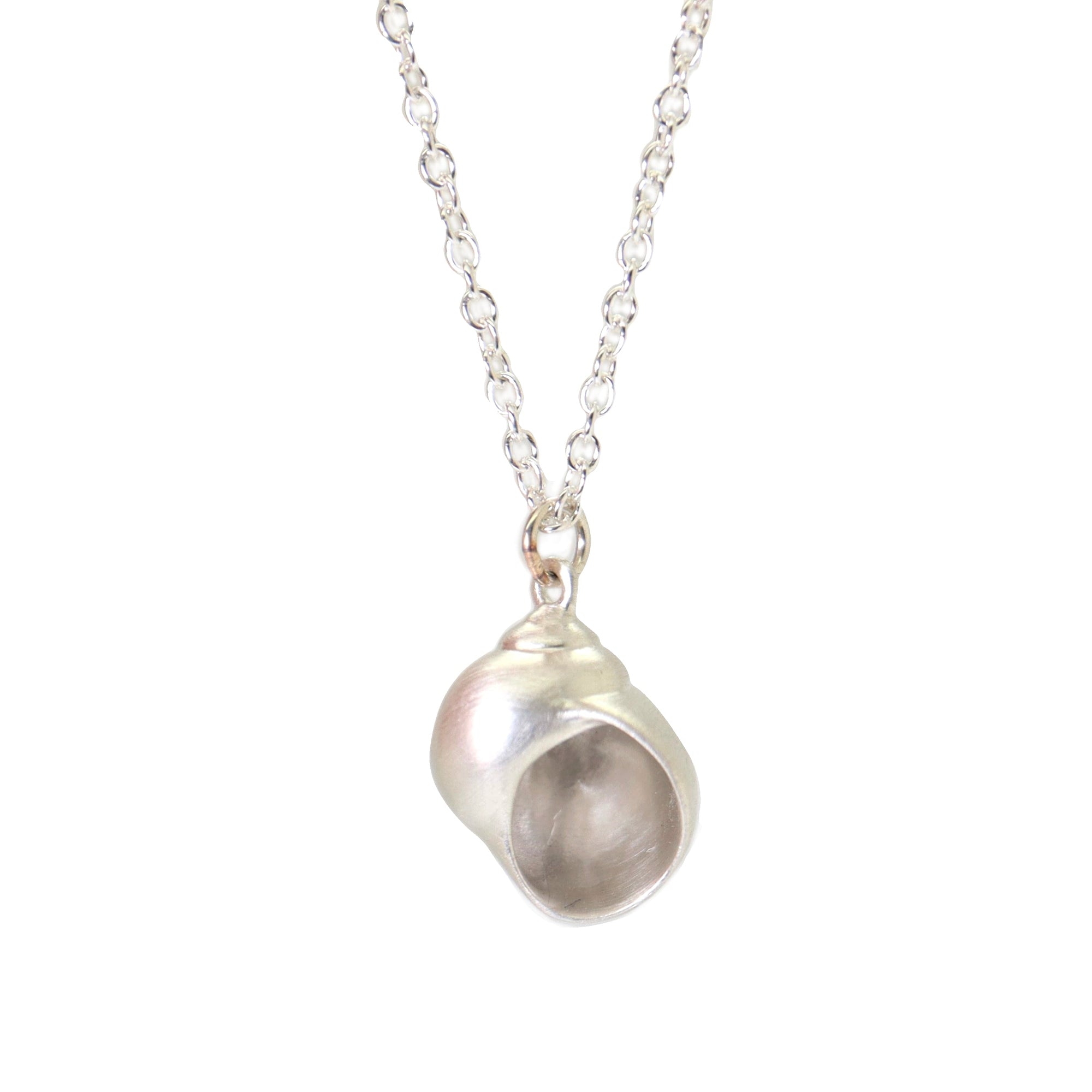 silver moon snail shell necklace
