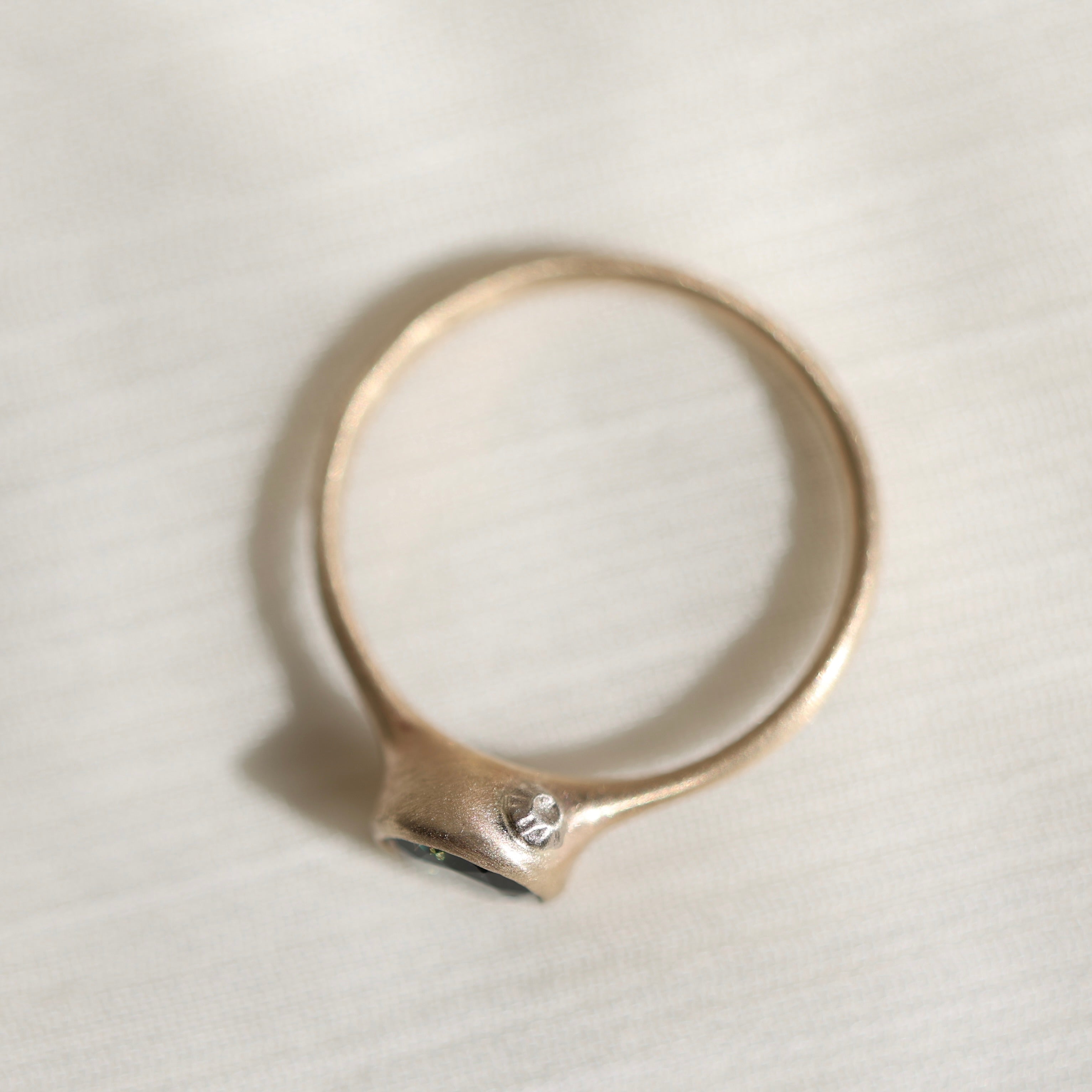Gold ring with a barnacle on a light gray background