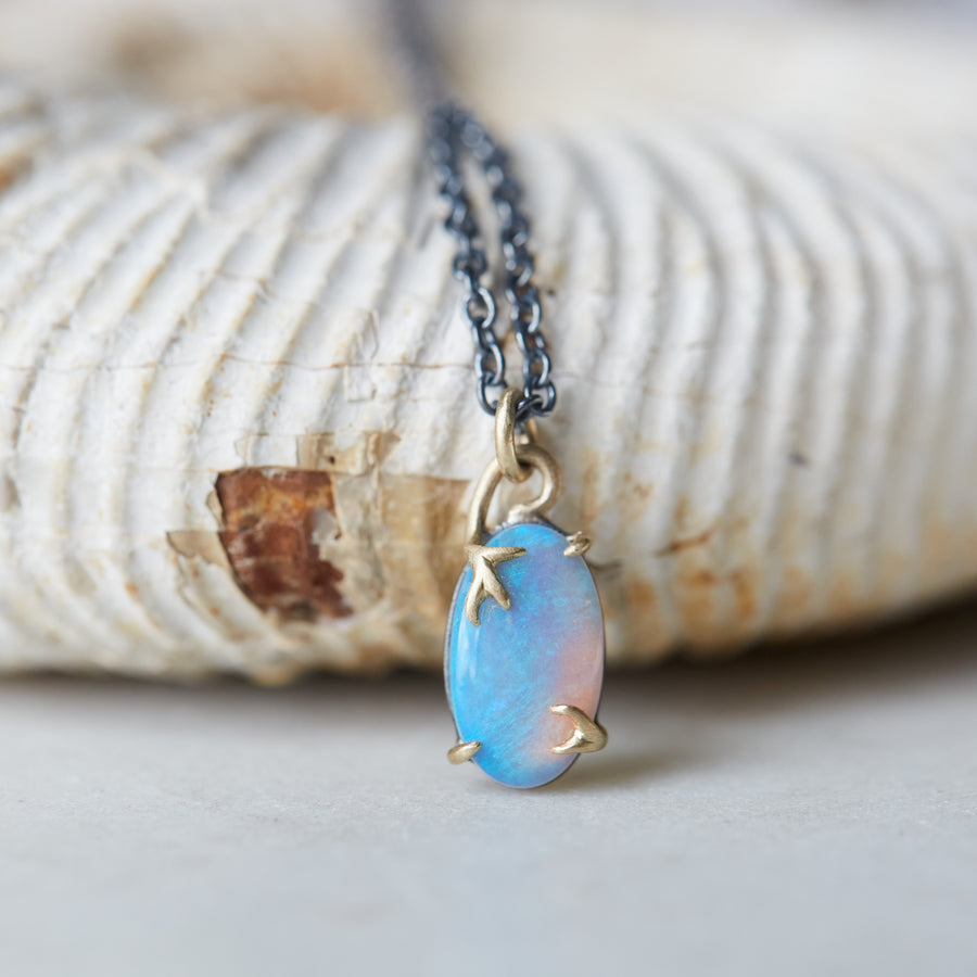 closeup of oval opal pendant with blue, green and pink flashes, set in gold branch prongs, on oxidized silver black chain. Set against a fossil shell background. necklace By hannah blount